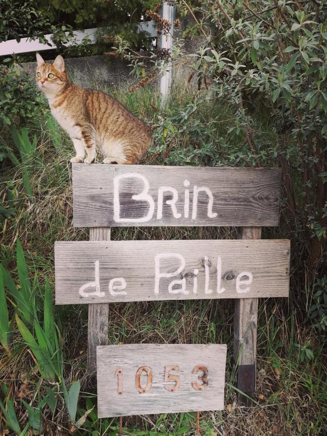 Brindepaille Bed & Breakfast Vallon-Pont-d'Arc Exterior photo